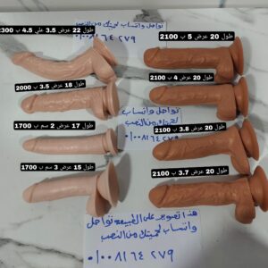 صورة تجمعه لموديلات العضو التعويضي لمقارنة الأحجام ببعضها